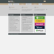 Stake Partners Affiliate