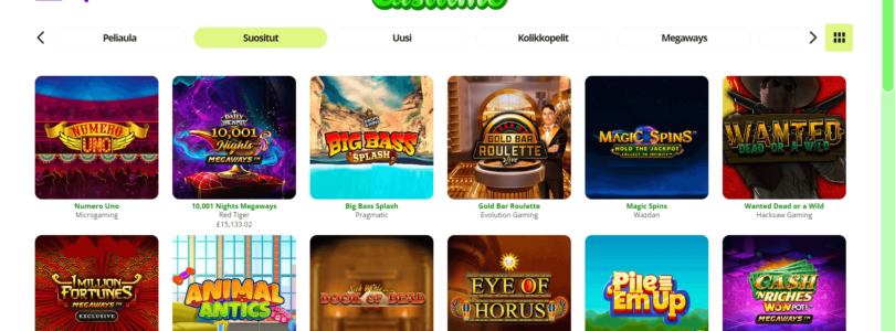 A Beginner's Guide to Casilime Casino Online: Tips and Tricks