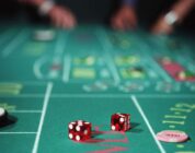 Yeni Başlayanların Yolculuğu: 1Red Casino Online'da Çaylaktan Yüksek Oyuncuya