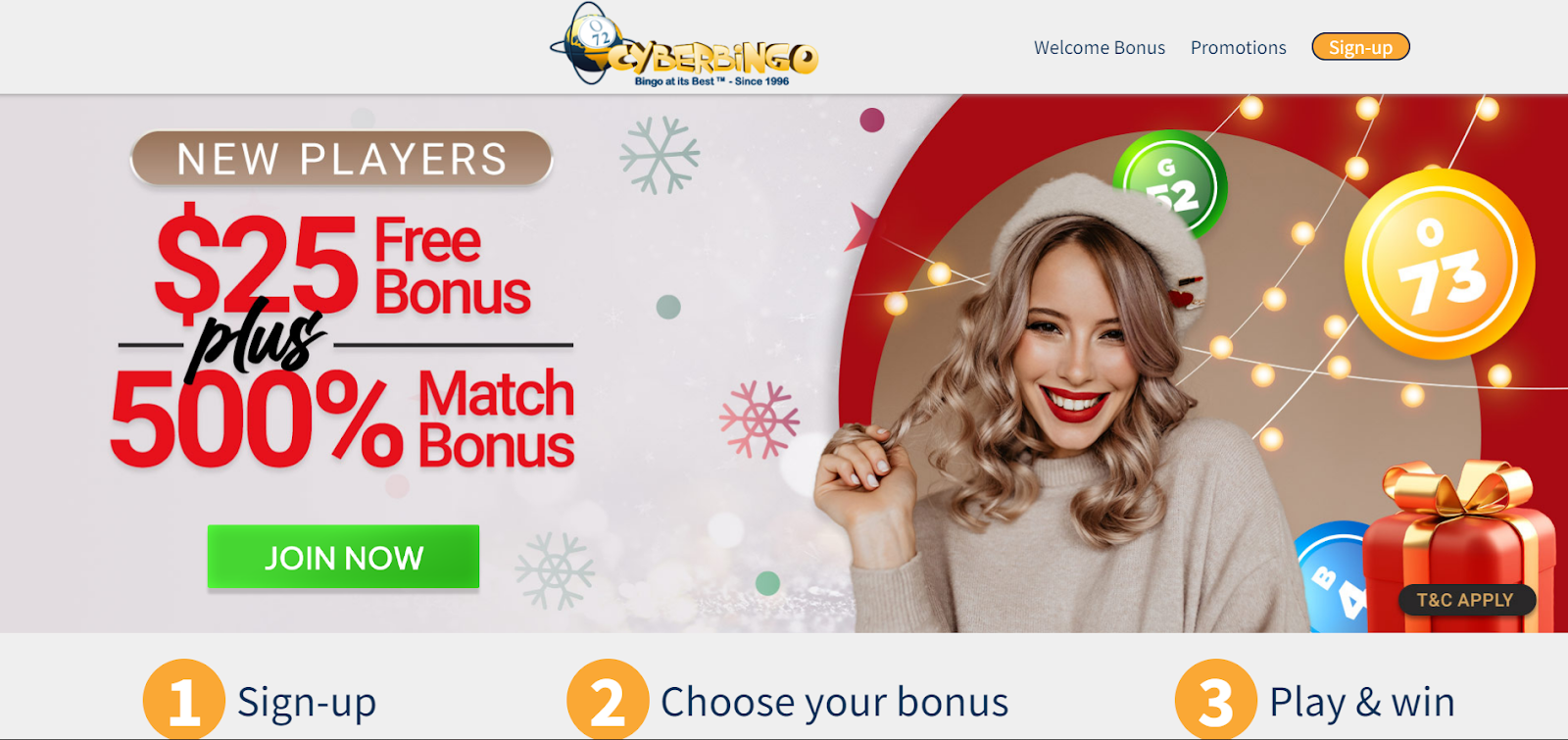 Cyber Bingo Casino's Loyalty Program: How to Get More Rewards for Your Play