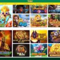 Dingo Casino Online Site Video Review