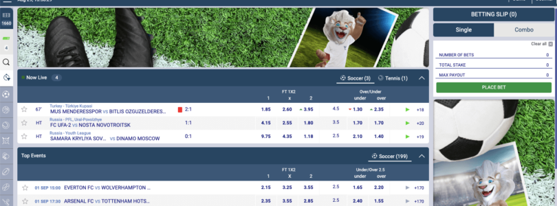 Exploring the VIP Program at White Lion Bets Casino Online