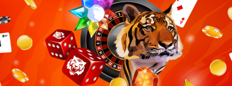 How to Choose the Best Tiger Riches Casino Online Bonus Offers