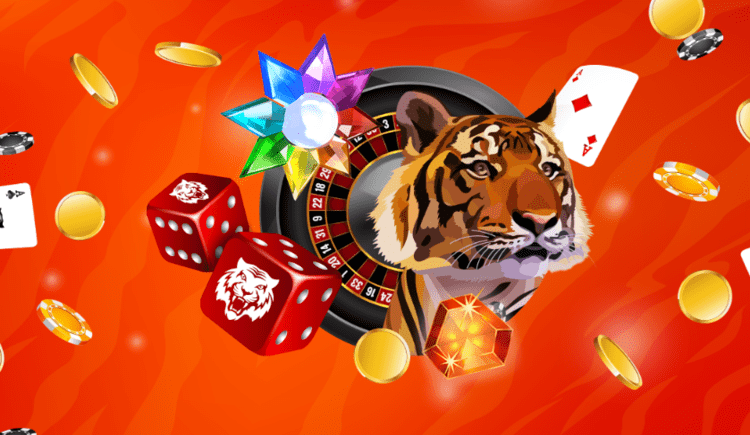 How to Choose the Best Tiger Riches Casino Online Bonus Offers