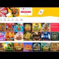 Video Review for the Crazy Fox Casino Online Site
