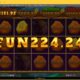 ReloadBet Casino Images