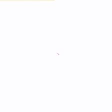 Viva Fortunes Casino