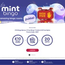 Mint Bingo Casino