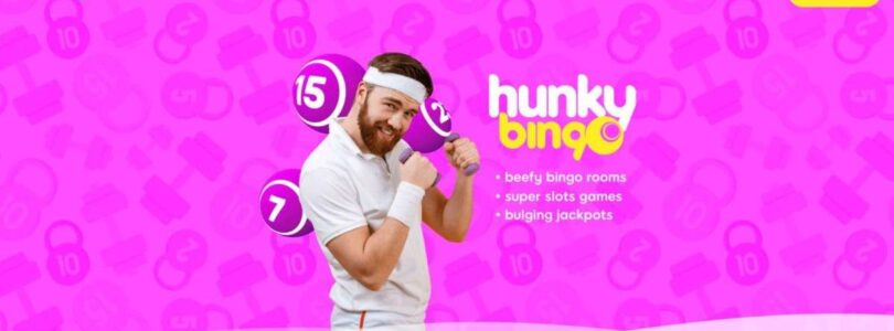 Uncovering the Secrets of Hunky Bingo Casino’s VIP Program