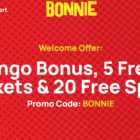 A Beginner's Guide to Playing at Bonnie Bingo Casino Online