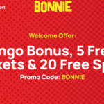 A Beginner's Guide to Playing at Bonnie Bingo Casino Online