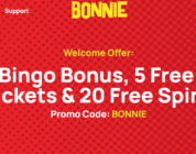 A Beginner's Guide to Playing at Bonnie Bingo Casino Online