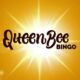 A Beginner's Guide to Queen Bee Bingo Casino Online