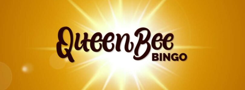 A Beginner's Guide to Queen Bee Bingo Casino Online