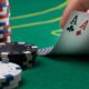 Mint Bingo Casino Online'ın Sadakat Programının Sırlarını Ortaya Çıkarmak