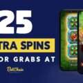 Strategies to Increase Conversions and Maximize Earnings as a BetChain Affiliates Gambling Affiliate