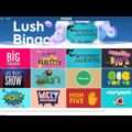 Mint Bingo Casino Online Site Video Review