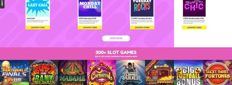 Quality Bingo Casino Online Site Video Review