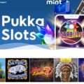 The History and Evolution of Mint Bingo Casino Online
