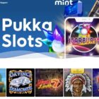 The History and Evolution of Mint Bingo Casino Online