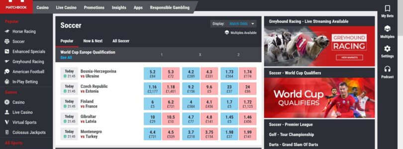 Discovering the Mobile Gaming Options at Matchbook Casino Online