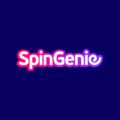 Spin Genie Casino Online-sivuston videokatsaus