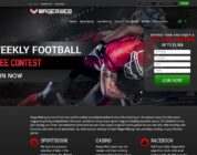 Dicas para jogo responsável no Wagerweb Casino Online