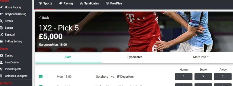 A Guide to the Loyalty Program at Matchbook Casino Online