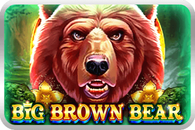 Big Brown Bear