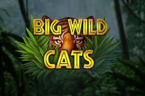 Big Wild Cats