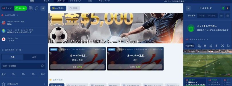 Casitabi Casino Online: A Review of the Mobile Gaming Experience