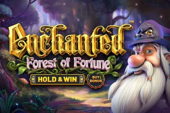 Enchanted: Forest of Fortune