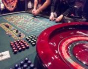 Exploring the Live Dealer Games at Spin Genie Casino Online