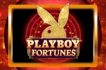 Playboy Fortunes