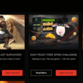 The Ultimate Guide to Wild Slots Casino Online Promotions and Bonuses