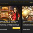 Tips and Tricks for Beginners at Winfest Casino Online