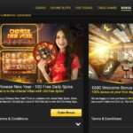 Tips and Tricks for Beginners at Winfest Casino Online