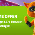 Bonus