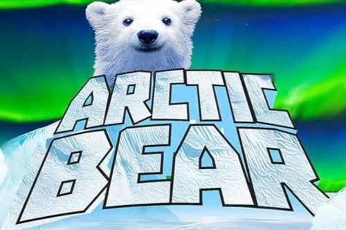 Arctic Bear