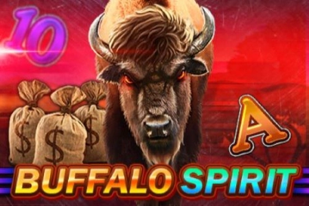 Buffalo Spirit 3x3