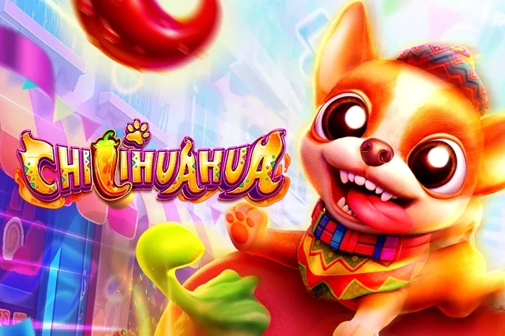 CHILIHUAHUA