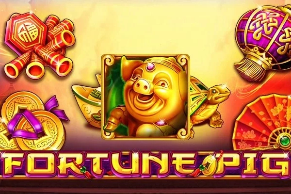 Fortune Pig