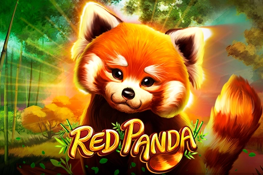 Red Panda