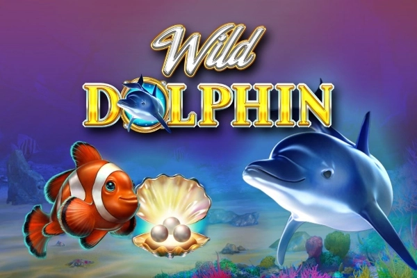 Wild Dolphin