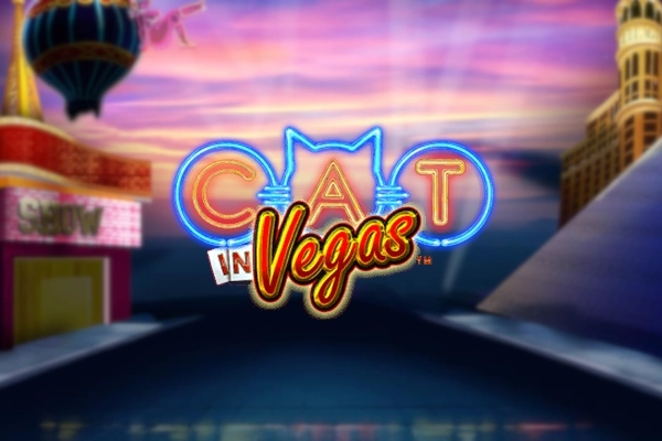 Cat in Vegas