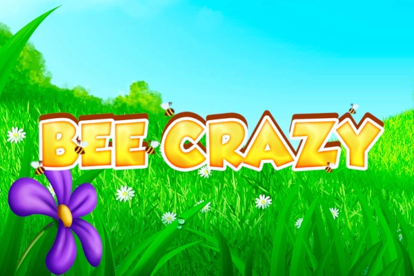 Bee Crazy