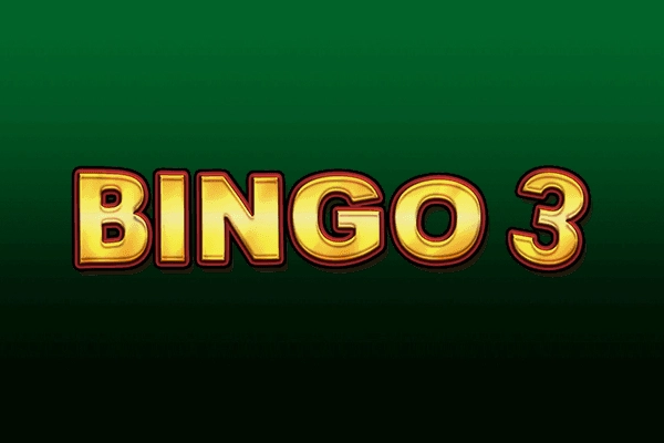 Bingo 3