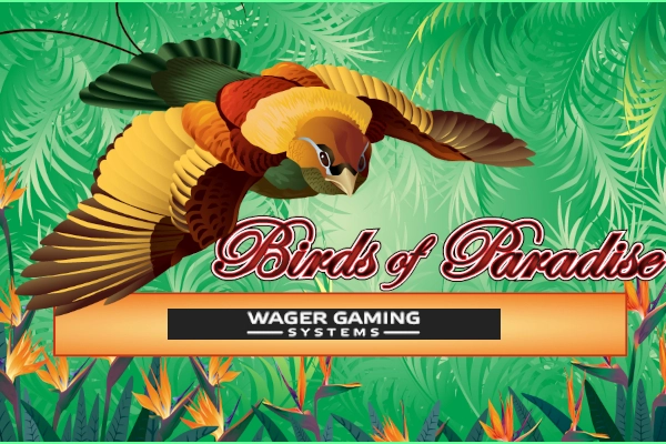 Birds of Paradise