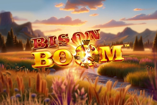 Bison Boom