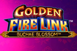 Golden Fire Link Buchae Blossom